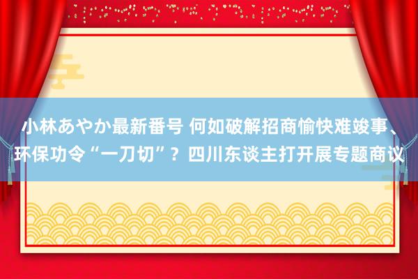 小林あやか最新番号 何如破解招商愉快难竣事、环保功令“一刀切”？四川东谈主打开展专题商议