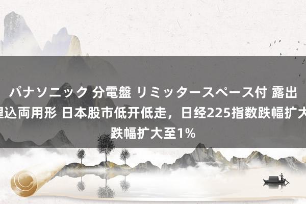 パナソニック 分電盤 リミッタースペース付 露出・半埋込両用形 日本股市低开低走，日经225指数跌幅扩大至1%