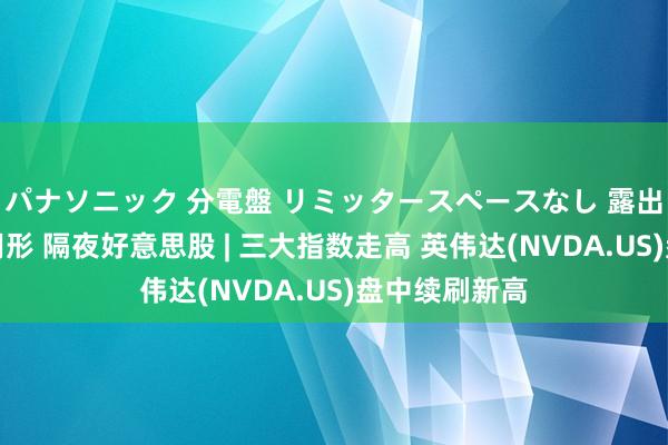 パナソニック 分電盤 リミッタースペースなし 露出・半埋込両用形 隔夜好意思股 | 三大指数走高 英伟达(NVDA.US)盘中续刷新高