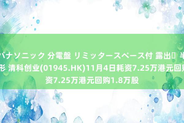 パナソニック 分電盤 リミッタースペース付 露出・半埋込両用形 清科创业(01945.HK)11月4日耗资7.25万港元回购1.8万股