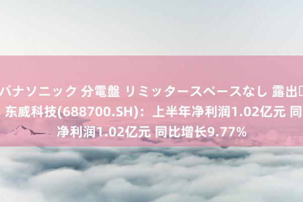 パナソニック 分電盤 リミッタースペースなし 露出・半埋込両用形 东威科技(688700.SH)：上半年净利润1.02亿元 同比增长9.77%