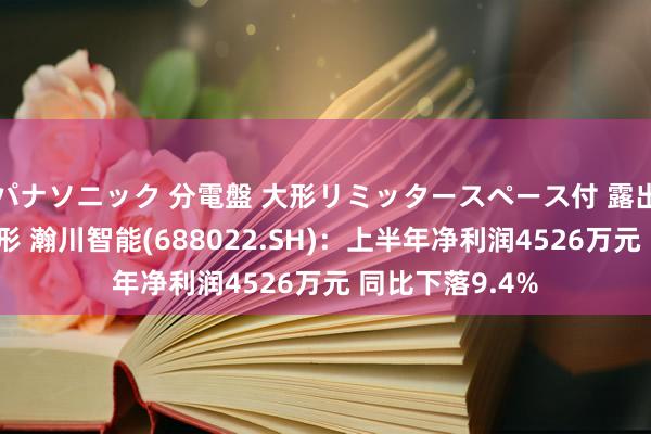 パナソニック 分電盤 大形リミッタースペース付 露出・半埋込両用形 瀚川智能(688022.SH)：上半年净利润4526万元 同比下落9.4%