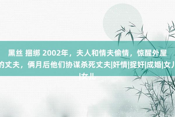 黑丝 捆绑 2002年，夫人和情夫偷情，惊醒外屋的丈夫，俩月后他们协谋杀死丈夫|奸情|捉奸|成婚|女儿